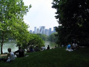Central park NYC 06.JPG